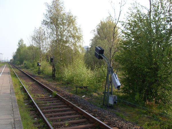 Großes Bild