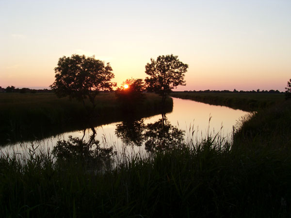 Großes Bild